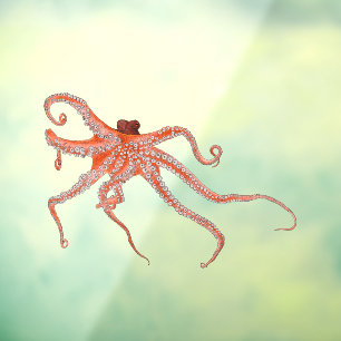 Octopus Hugs