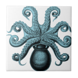 Octopus in Teal Ceramic Tile