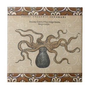 Octopus Kraken Antique Coastal Marine Wildlife Ceramic Tile