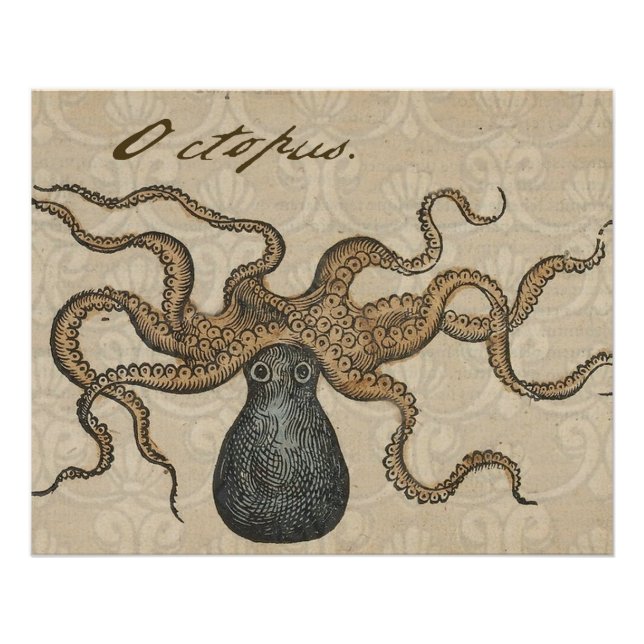 Octopus Kraken Antique Coastal Marine Wildlife Poster (Front)