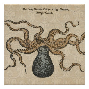 Octopus Kraken Antique Coastal Marine Wildlife Poster