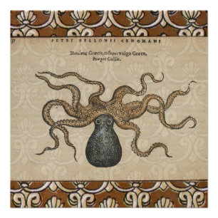 Octopus Kraken Antique Coastal Marine Wildlife Poster