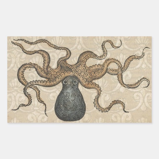 Octopus Kraken Antique Coastal Marine Wildlife Rectangular Sticker (Front)
