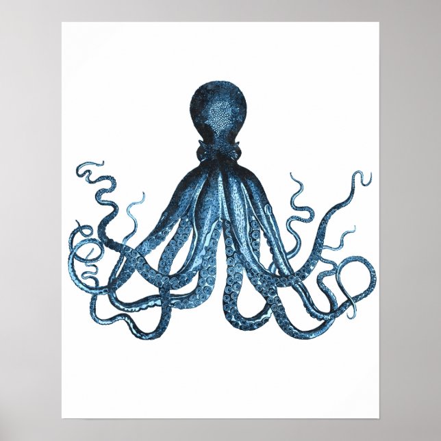 Octopus kraken ocean sea beach nautical coastal poster (Front)