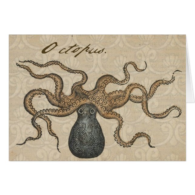 Octopus Kraken Vintage Illustration (Front Horizontal)