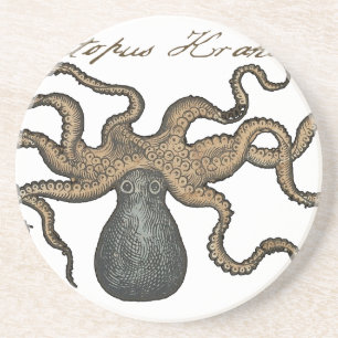 Octopus Kraken Vintage Illustration Coaster