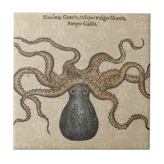 Octopus Kraken Vintage Illustration Tile (Front)