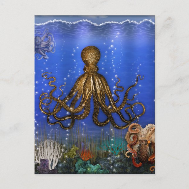 Octopus' Lair - Colourful Postcard (Front)