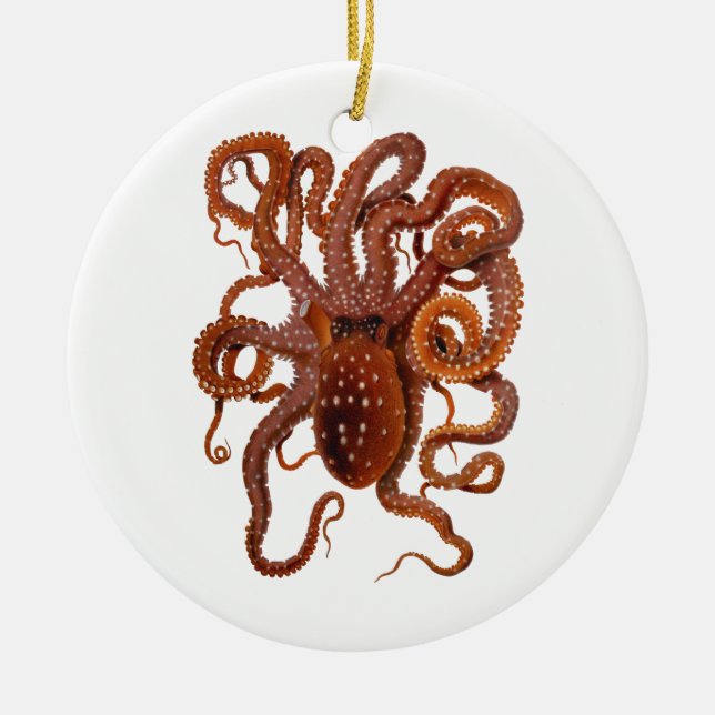 Octopus Macropus Atlantic White Spotted Octopus Ceramic Tree Decoration (Front)