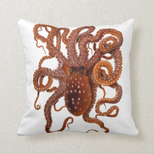 Octopus Macropus Atlantic White Spotted Octopus Cushion