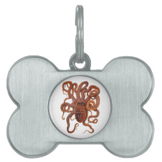 Octopus Macropus Atlantic White Spotted Octopus Pet Name Tag