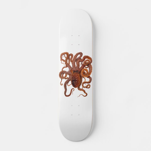 Octopus Macropus Atlantic White Spotted Octopus Skateboard (Front)