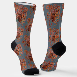 Octopus Macropus, Vintage Marine Aquatic Animals Socks