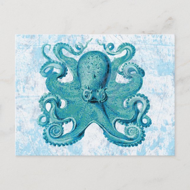 Octopus Marine Life Ocean Animals Beach Life Postcard (Front)