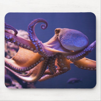 Octopus Mousepad