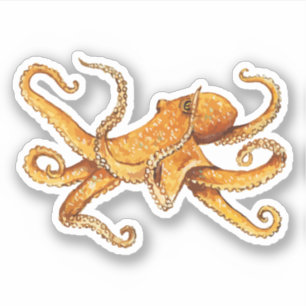 Octopus Nautical Design