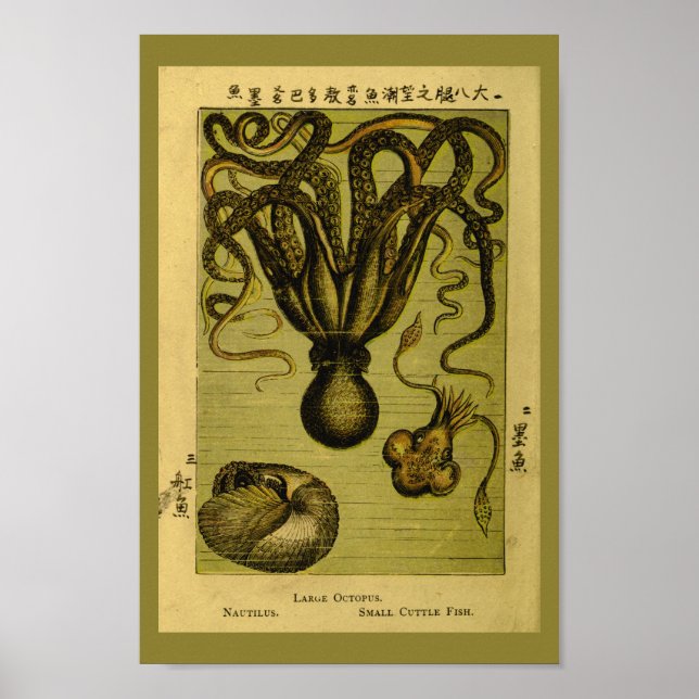 Octopus Nautilus Vintage Sea Creatures Art Print (Front)