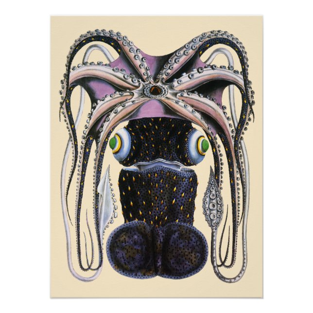 Octopus or Giant Squid, Vintage Marine Life Animal Poster (Front)