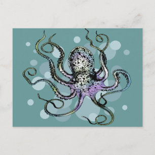 Octopus Postcard