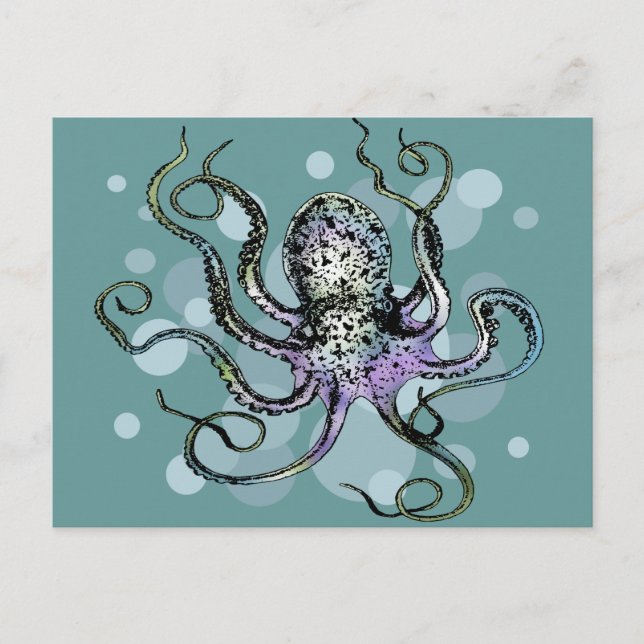Octopus Postcard (Front)