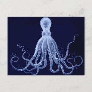 Octopus Postcard