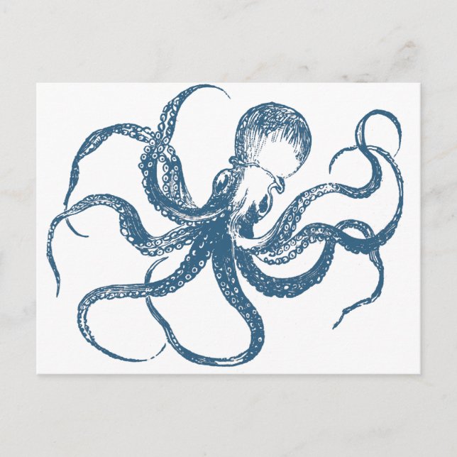 octopus postcard (Front)