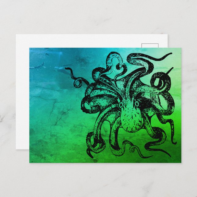 Octopus  postcard (Front/Back)