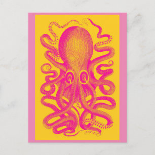 Octopus postcard