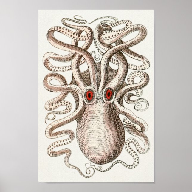 Octopus Red Eye Cephalopod Sea Creatures Art Print (Front)