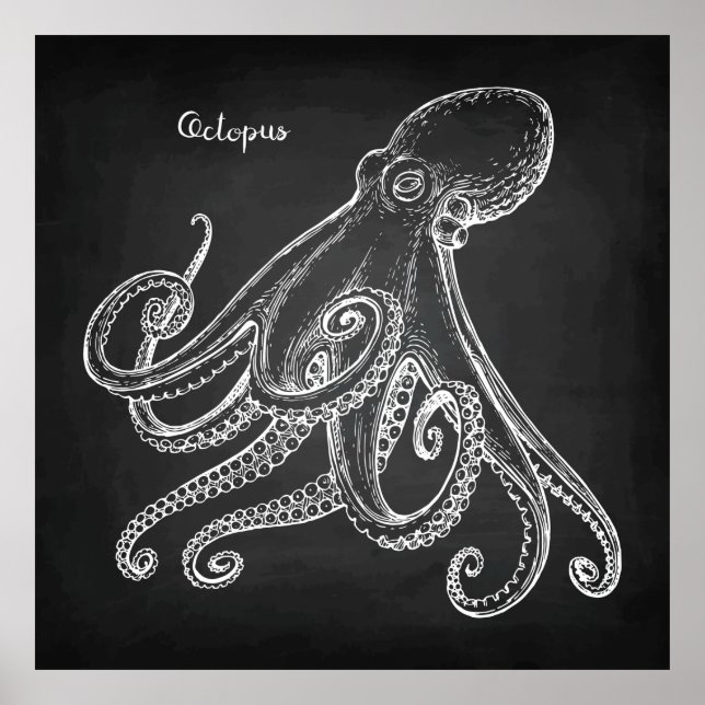 Octopus Sketch Poster (Front)
