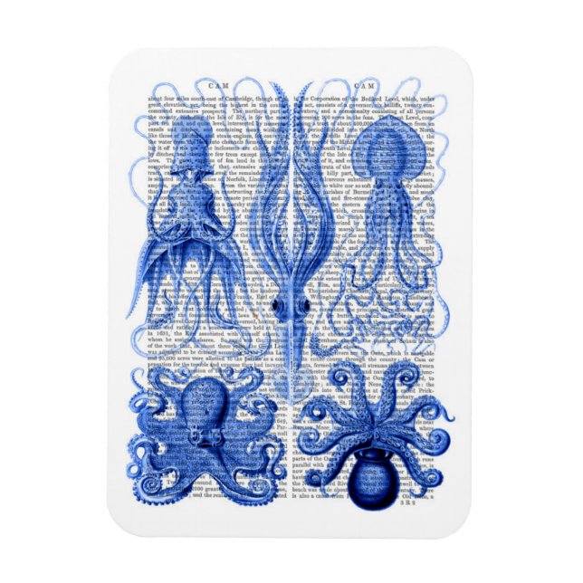 Octopus & Squid Blue Magnet (Vertical)