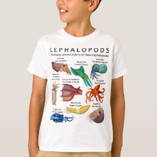 Octopus, Squid, Cuttlefish, and Nautilus T-Shirt