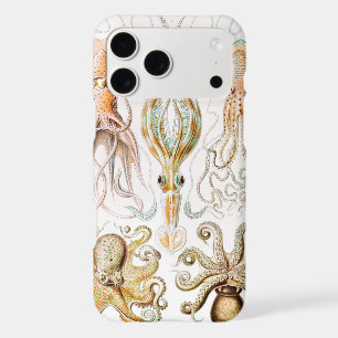 Octopus Squid, Gamochonia by Ernst Haeckel