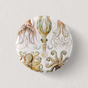 Octopus Squid, Gamochonia by Ernst Haeckel 3 Cm Round Badge
