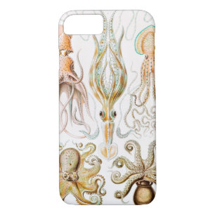 Octopus Squid, Gamochonia by Ernst Haeckel iPhone 8/7 Case