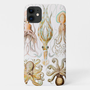 Octopus Squid, Gamochonia by Ernst Haeckel iPhone 11 Case