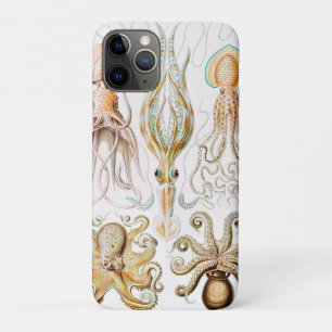 Octopus Squid, Gamochonia by Ernst Haeckel iPhone 11 Pro Case