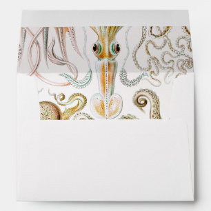 Octopus Squid, Gamochonia by Ernst Haeckel Envelope