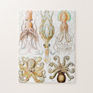 Octopus Squid, Gamochonia by Ernst Haeckel Jigsaw Puzzle