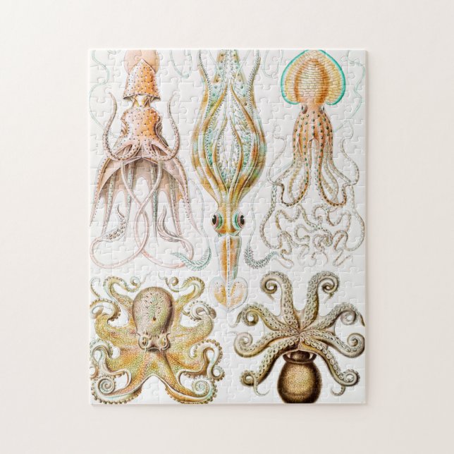 Octopus Squid, Gamochonia by Ernst Haeckel Jigsaw Puzzle (Vertical)