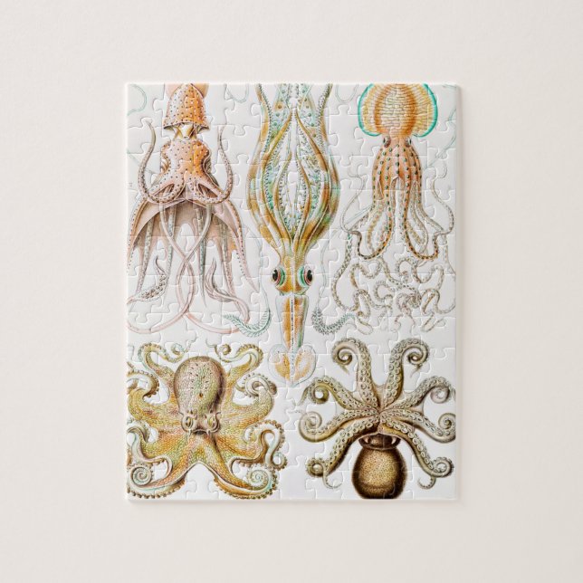 Octopus Squid, Gamochonia by Ernst Haeckel Jigsaw Puzzle (Vertical)