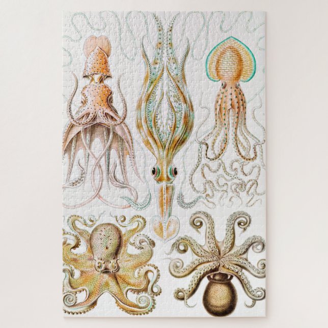 Octopus Squid, Gamochonia by Ernst Haeckel Jigsaw Puzzle (Vertical)
