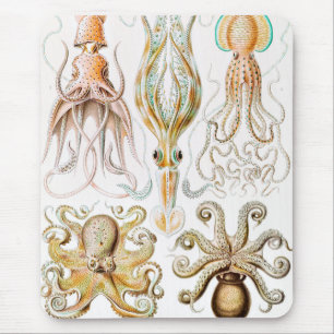 Octopus Squid, Gamochonia by Ernst Haeckel Mouse Pad