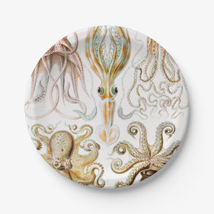 Octopus Squid, Gamochonia by Ernst Haeckel Paper Plate