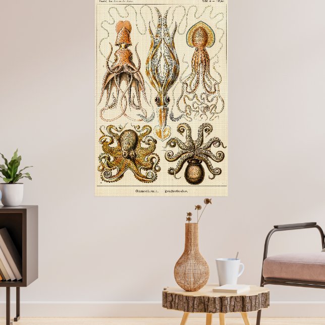 Octopus Squid Gamochonia by Ernst Haeckel Poster (Living Room 3)