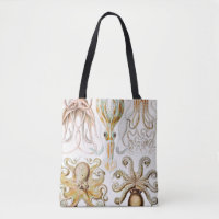 Octopus Squid, Gamochonia by Ernst Haeckel