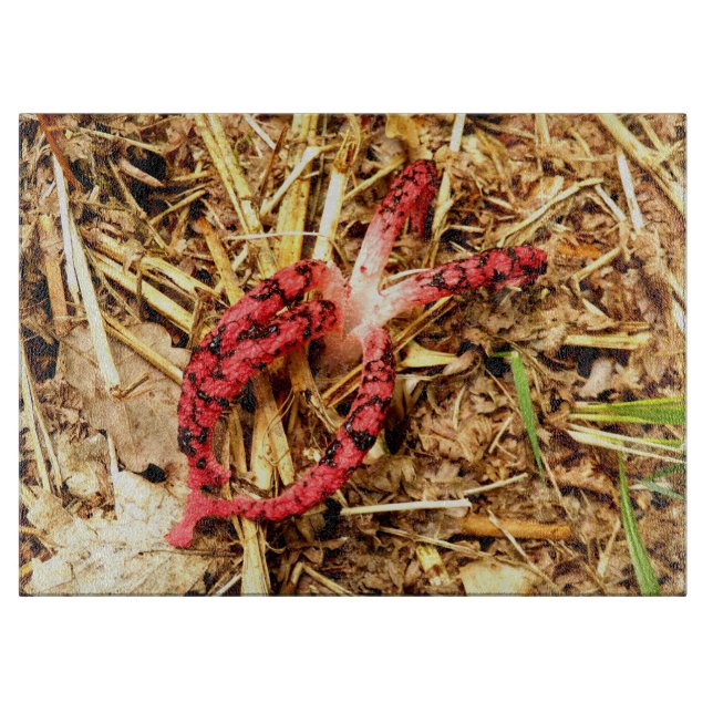 Octopus Stinkhorn Glass Chopping Board (Front)