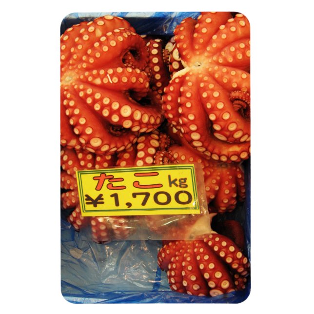 Octopus Tako たこ Tsukiji Fish Market, Tokyo, Japan Magnet (Vertical)