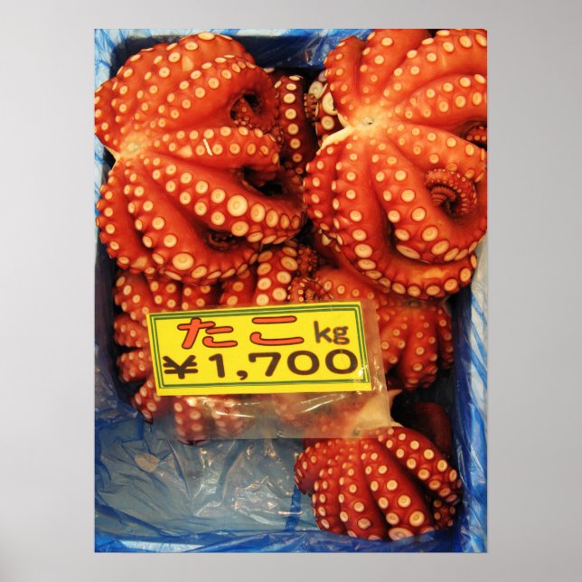 Octopus Tako たこ Tsukiji Fish Market, Tokyo, Japan Poster (Front)