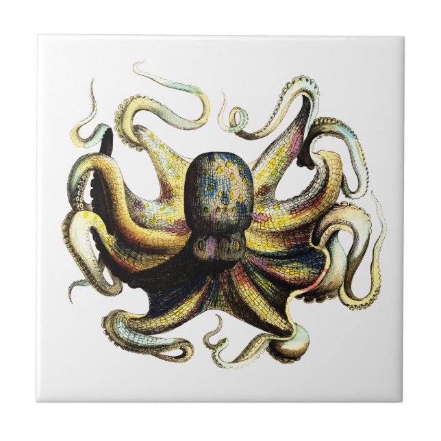 Octopus Tile (Front)